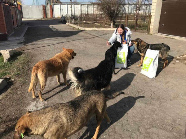 Ukraine Appeal - How to Help Pets in Crisis