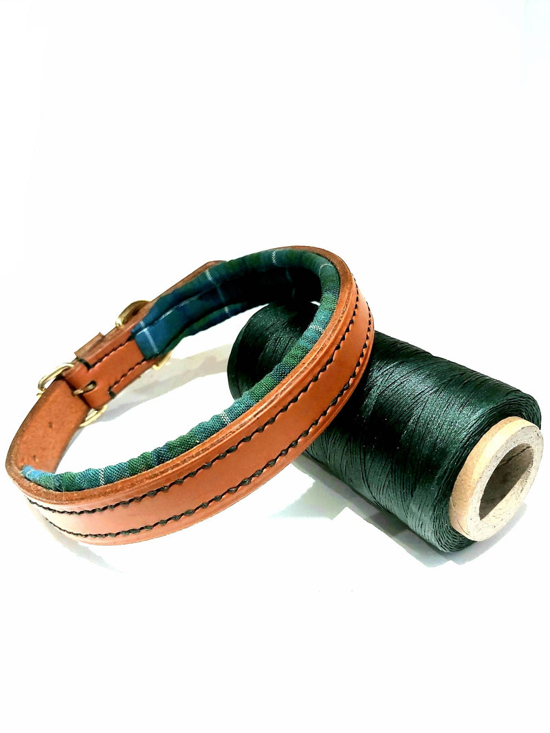collars Medium Ancient Douglas Green Tartan Padded Leather Dog Collar - 1 inch wide