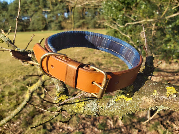 collars Medium Holyrood Blue Tartan Leather Dog Collar - 1 inch wide