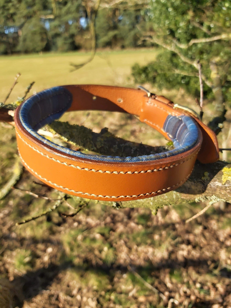 collars Small Holyrood Blue Tartan Leather Dog Collar - 3/4 inch wide