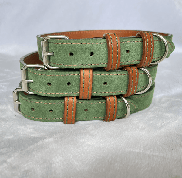Collar Green Leather Dog Collar