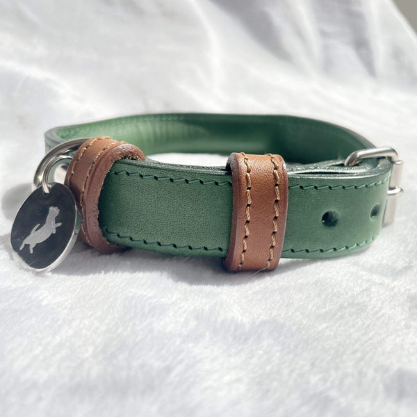 Collar Green Rolled Leather Dog Collar