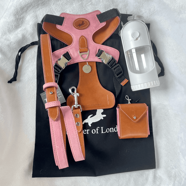 Pooch Pack Pooch Pack Harness  - Pink