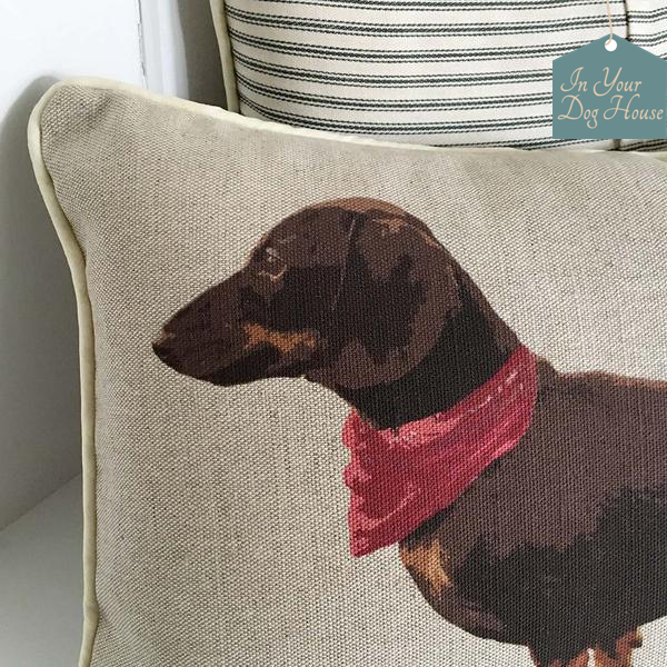 Dachshund dog cushion