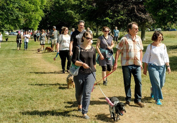 The Great Dog Walk Together