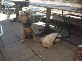Rupert Recommends - The Kings Arms