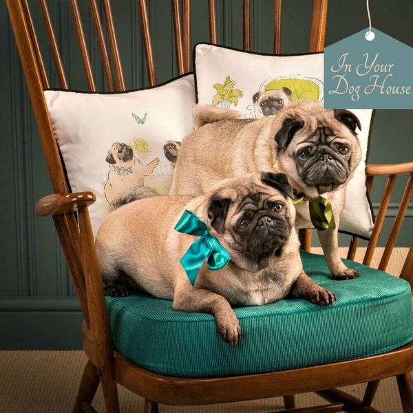 Introducing Life in the Pug Lane