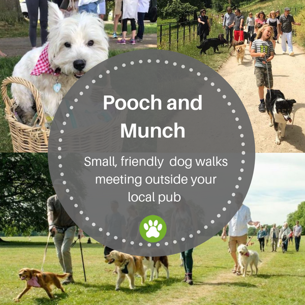 Pooch and Munch to be launched in the New Year