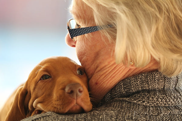 This Dog Is Helping With Alzheimer’s: Richard’s Story