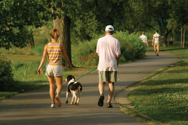 Dog sharing