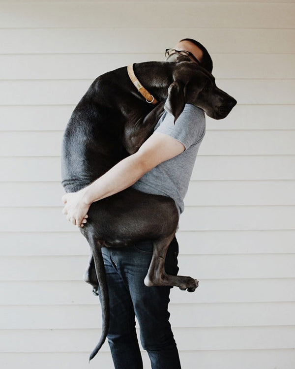 dog lovers