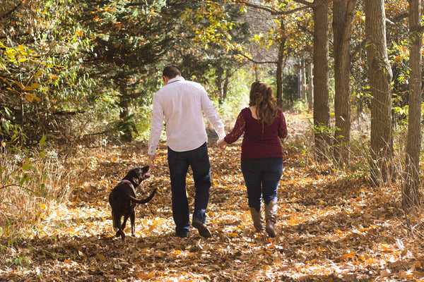 What does being a walk organiser involve?