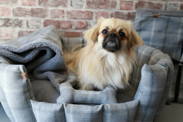 Dog bed Luxury Handcrafted Pocket Sided Dog Bed, Harris Grey, with Sherpa Fleece Cushion