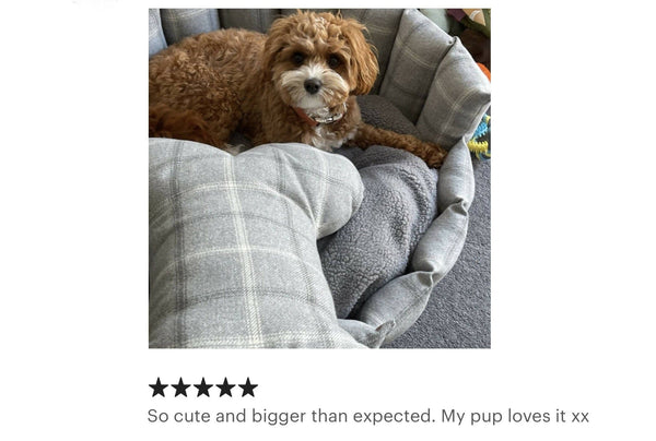 Large Bone Snuggle Cushion