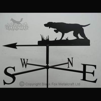 Pointer Weathervane