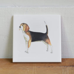 Beagle coaster