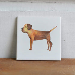 Border Terrier Coaster