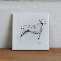 Dalmatian Coaster for dog lovers