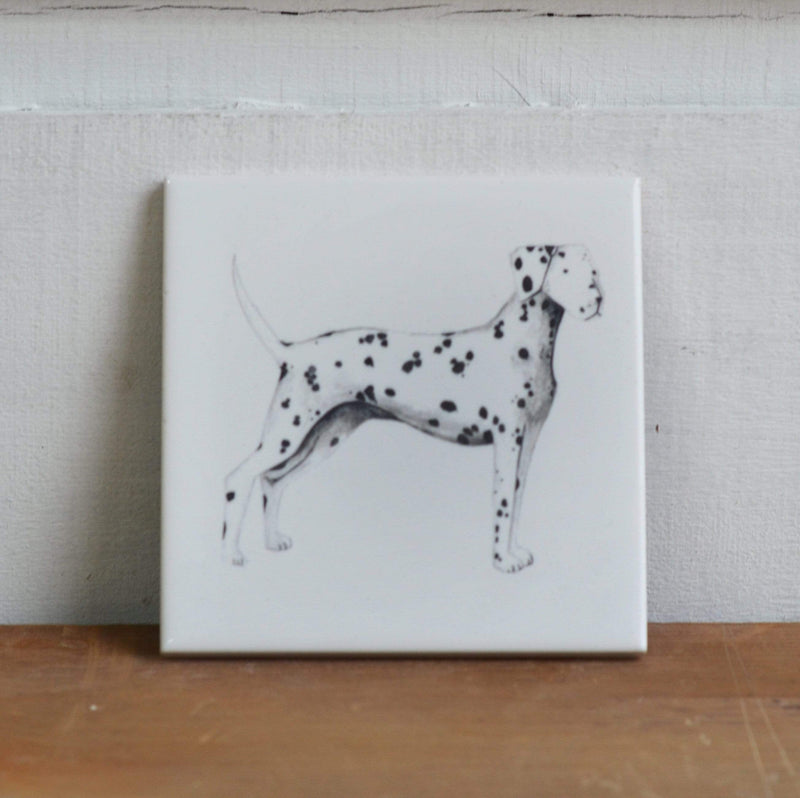 Dalmatian Coaster for dog lovers