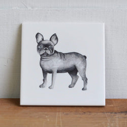 Grey French Bulldog Coaster