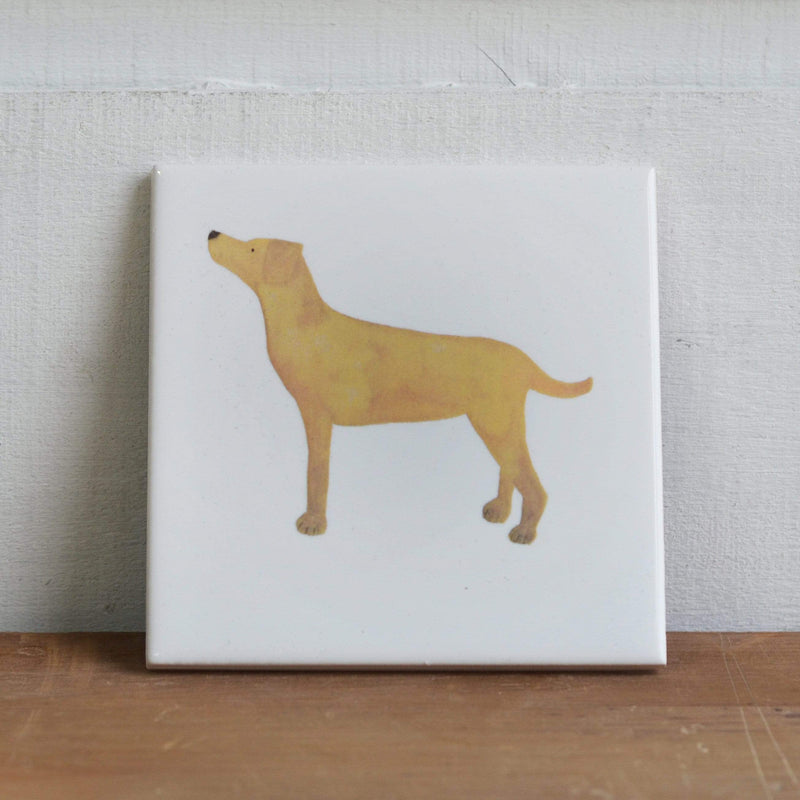 Golden Labrador Coaster