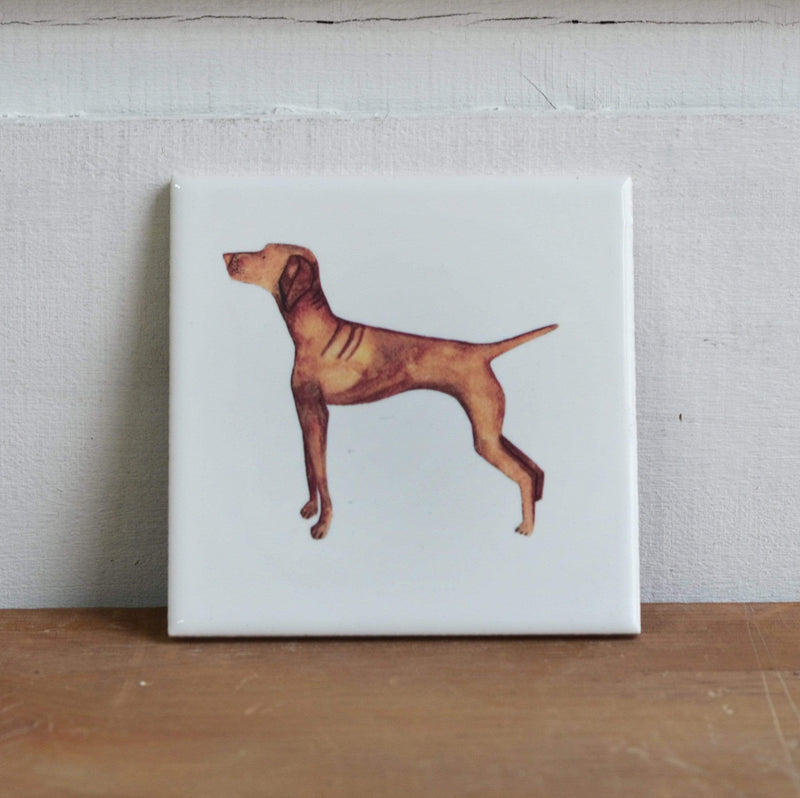 Vizsla Coaster