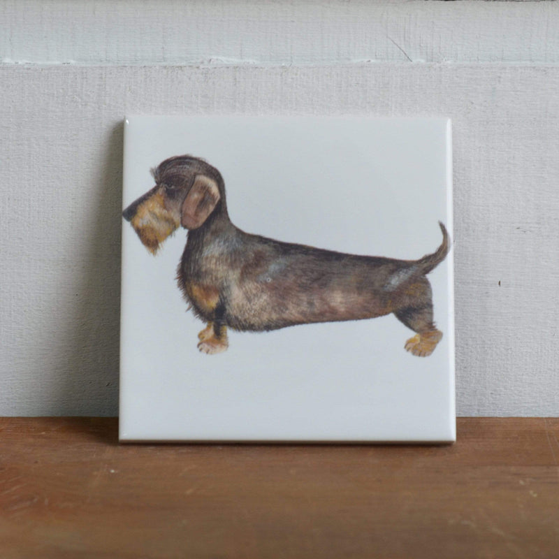 Wire haired Dachshund Dog Mug