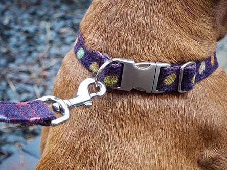 Hettie Dog Collars