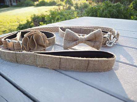 Hettie Dog Collars