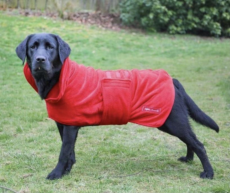 The Ultimate Dog Drying Robe