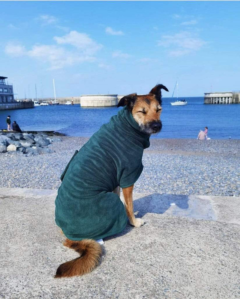 The Ultimate Dog Drying Robe