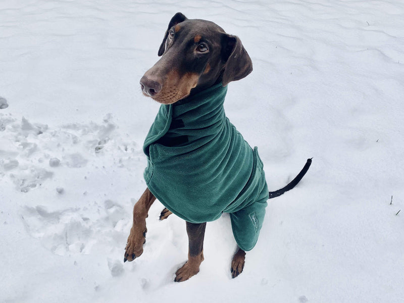 The Ultimate Dog Drying Robe