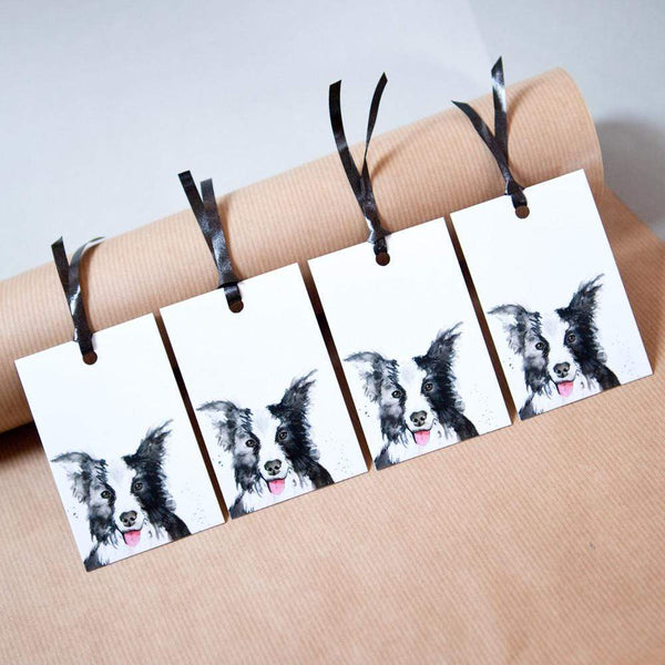 Border Collie Dog Gift Tags