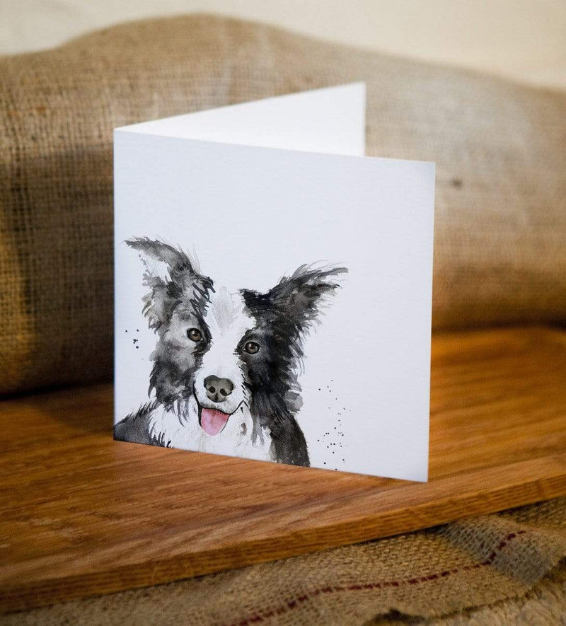 Collie Dog Greetings Card