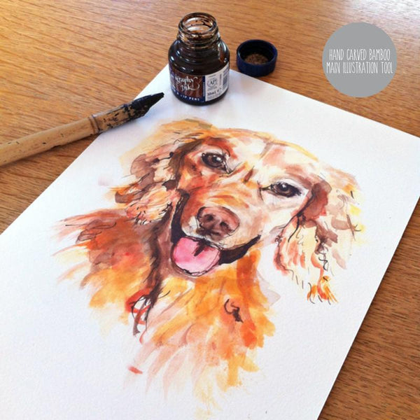 Hand Drawn Pet Portrait