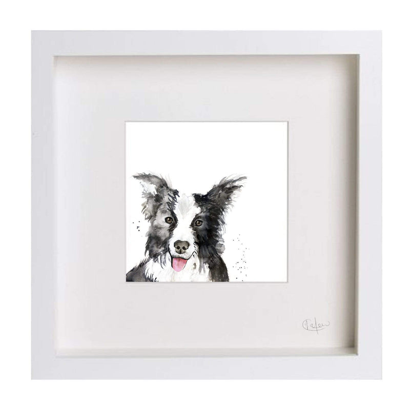 Collie Dog Illustration Print