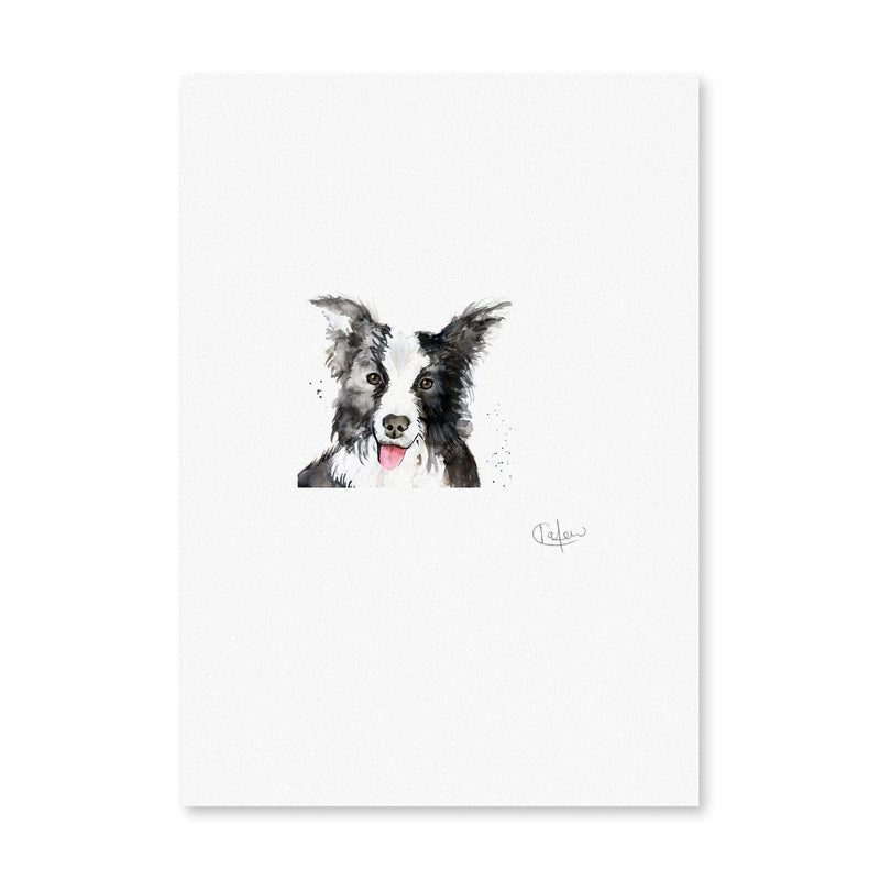 Collie Dog Illustration Print