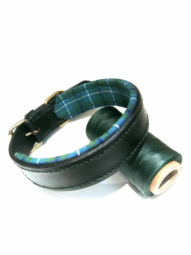 collars Large Ancient Douglas Green Tartan Padded Leather Dog Collar - 1 1/4 inches wide