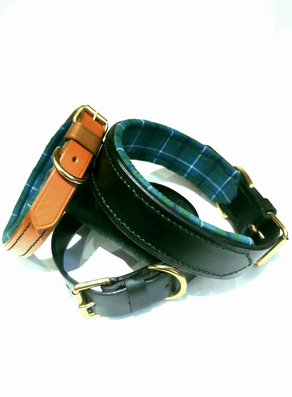 collars Large Ancient Douglas Green Tartan Padded Leather Dog Collar - 1 1/4 inches wide