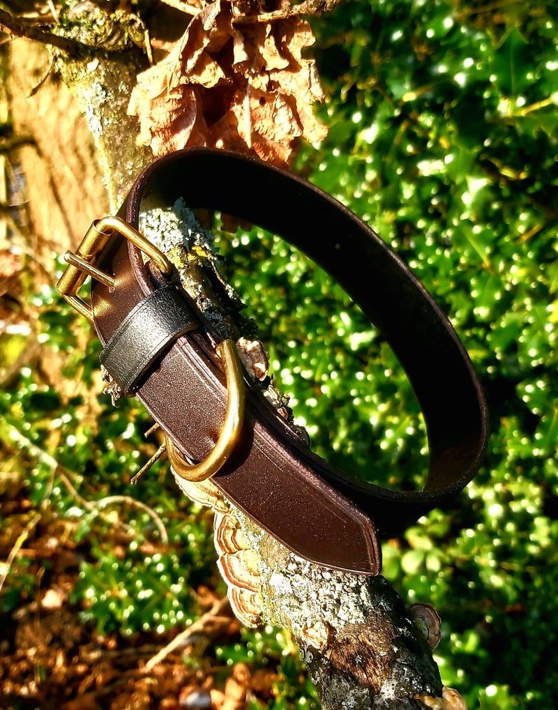 English leather dog sales collars