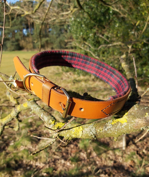 collars Medium MacDonald Clan Red and Green Tartan  Leather Dog Collar - 1 inch wide