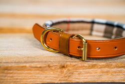 collars Medium Thompson Camel Grey and Beige Tartan Leather Dog Collar- 1 inch wide