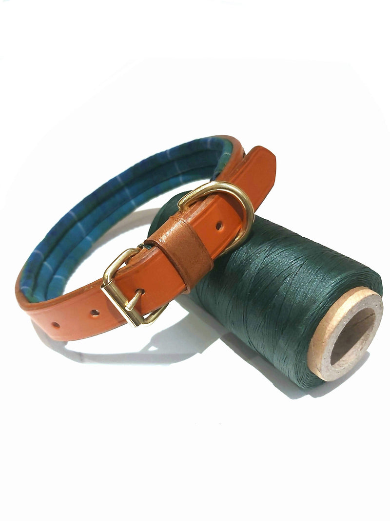 collars Small Ancient Douglas Green Tartan Padded Leather Dog Collar