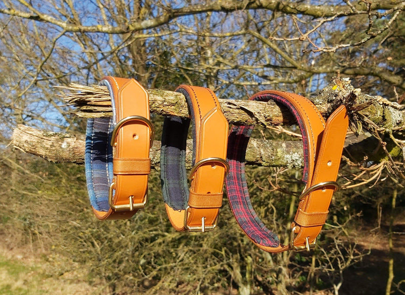 collars Small Black Watch Dark Blue Tartan Leather Dog Collar - 3/4 inch wide