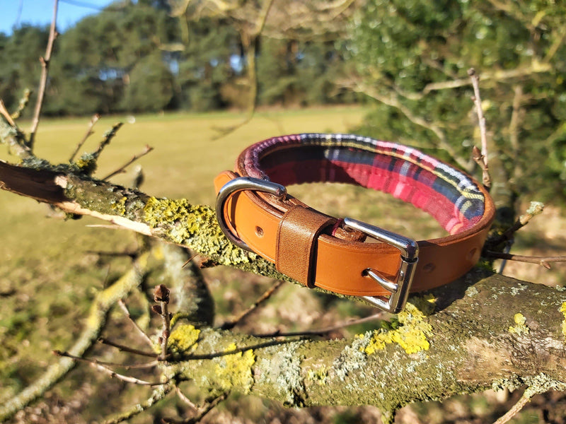 Dog Collar Large Stewart Royal Red Tartan Leather Dog Collar - 1 1/4 inches wide