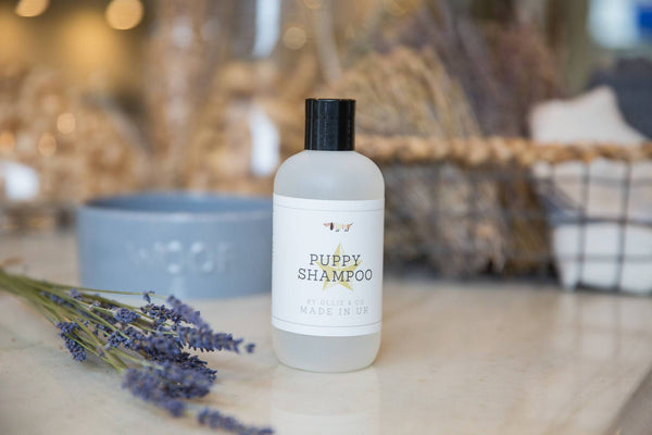 Baby Powder Puppy Shampoo With Aloe Vera by Ollie & Co
