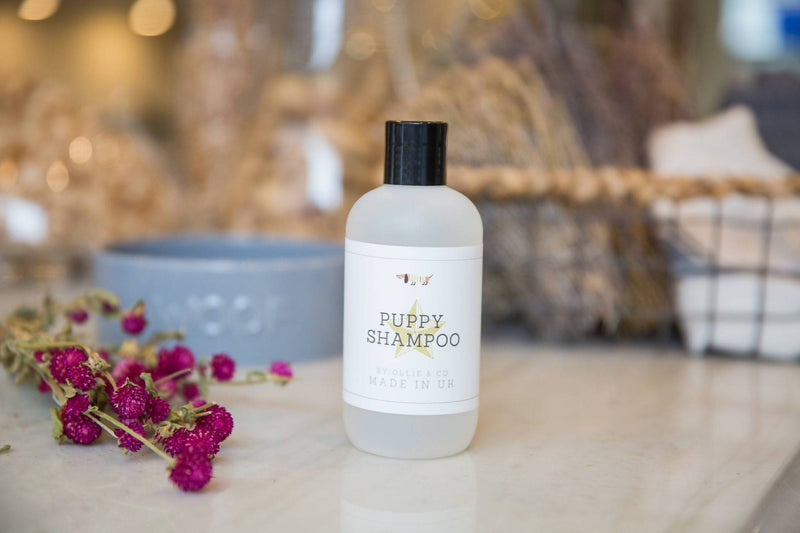 Baby Powder Puppy Shampoo With Aloe Vera by Ollie & Co