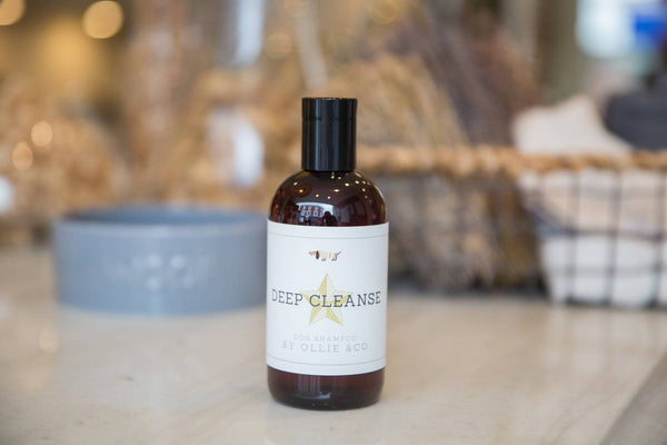 Deep Cleanse Dog Shampoo with Tea Tree & Eucalyptus by Ollie & Co