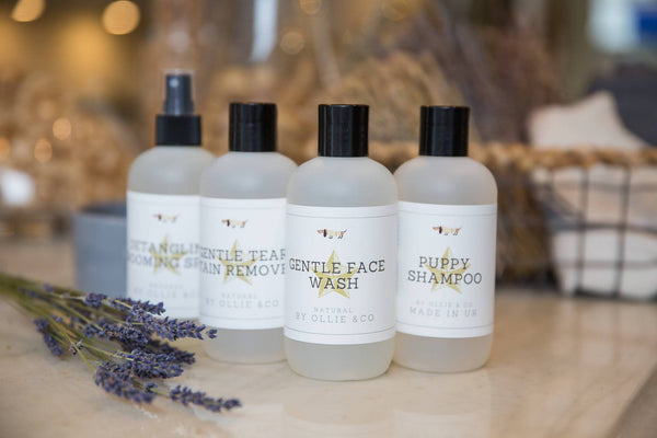 Gentle Face Wash for Dogs with Naturally Derived Cleansers & Conditioner by Ollie & Co