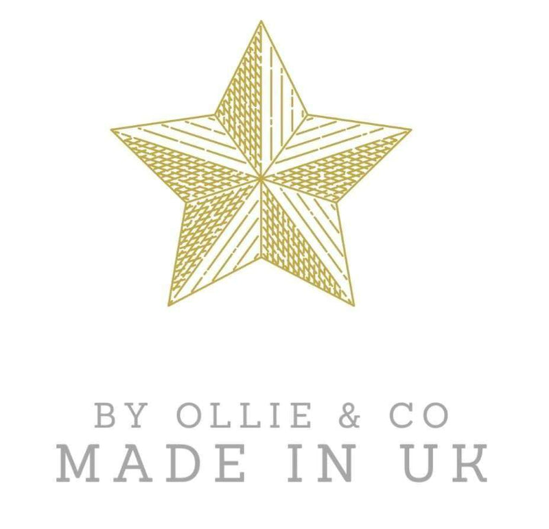 Gentle Face Wash for Dogs with Naturally Derived Cleansers & Conditioner by Ollie & Co